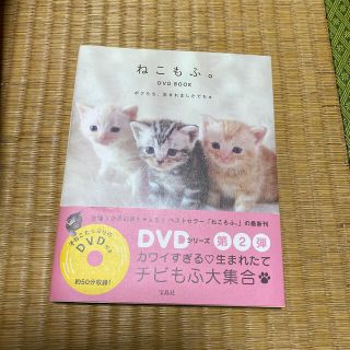 タカラジマシャ(宝島社)のＤＶＤ＞ねこもふ。ＤＶＤ　ＢＯＯＫ ボクたち、生まれましたでちゅ(住まい/暮らし/子育て)