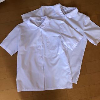 制服 学生 Yシャツ ワイシャツ　ブラウス　丸襟  半袖(シャツ/ブラウス(半袖/袖なし))