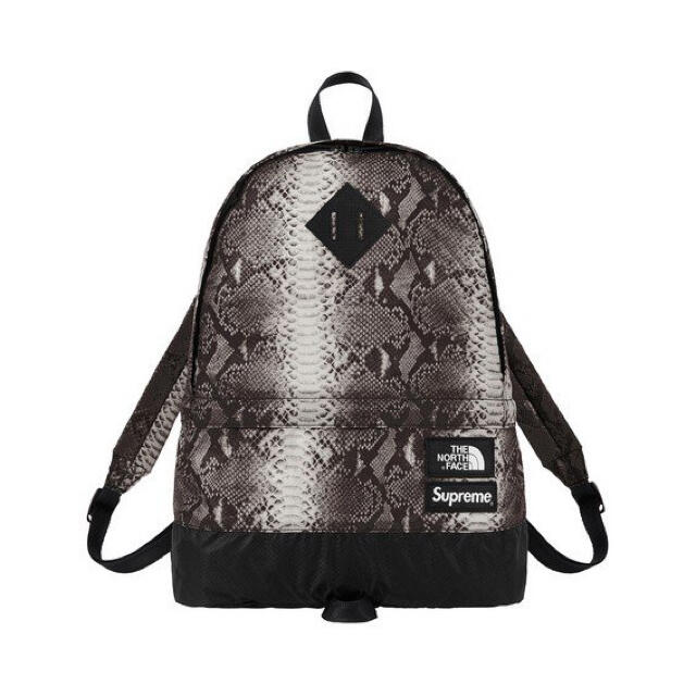 18ss Supreme The North Face  Backpack