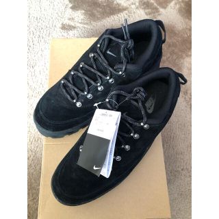 ナイキ(NIKE)のhisaya様　専用(スニーカー)