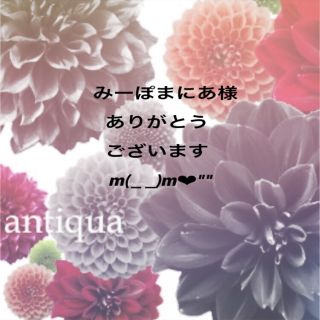 アンティカ(antiqua)のみーぽまにあ様ご専用になります。ありがとうございますm(_ _)m(その他)