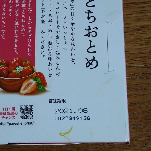 栃木　キットカット 食品/飲料/酒の食品(菓子/デザート)の商品写真