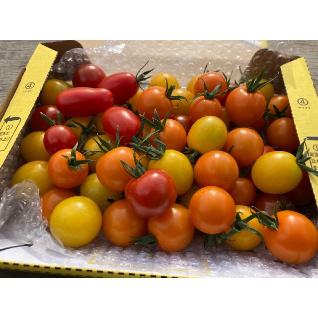 甘い　ミニトマト　トマト　カラフルトマト　群馬県産 食品/飲料/酒の食品(野菜)の商品写真