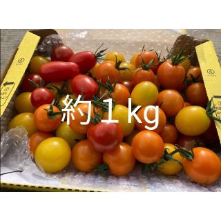 甘い　ミニトマト　トマト　カラフルトマト　群馬県産(野菜)