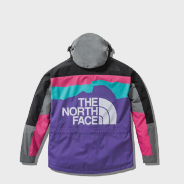 マウンテンパーカーINVINCIBLE THE NORTH FACE マウンテンジャケット　S