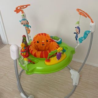 フィッシャープライス(Fisher-Price)のフィッシャープライス♡ジャンパルー(ベビージム)