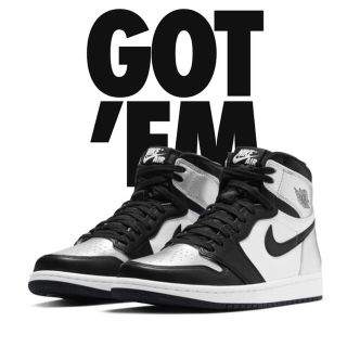 ナイキ(NIKE)のNike Air Jordan 1 Silver Toe WMNS 24cm(スニーカー)