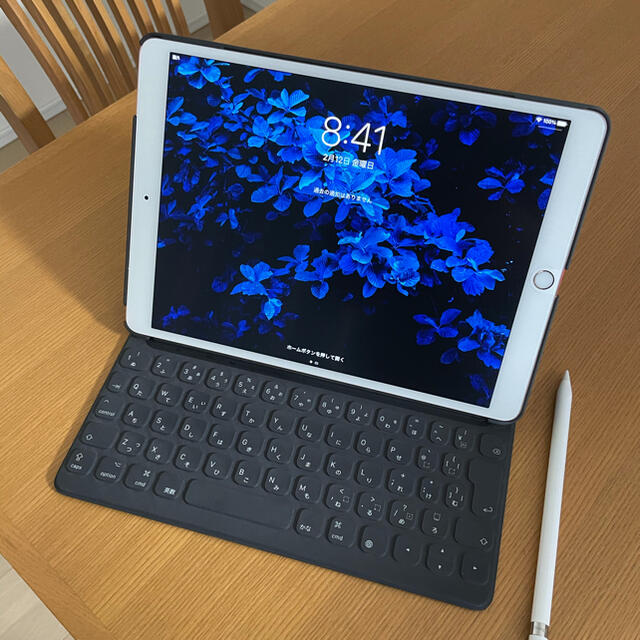 iPad Pro (10.5インチ) Wi-Fi +Cellular 256GB