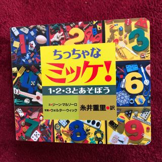 ショウガクカン(小学館)のちっちゃなミッケ！ １・２・３とあそぼう　絵本　送料込み　匿名配送　(絵本/児童書)