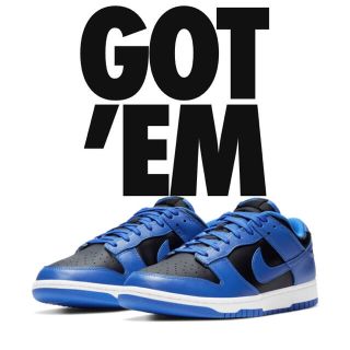 ナイキ(NIKE)の⭐︎【送料無料】nike hyper cobalt dunk low 27.5(スニーカー)