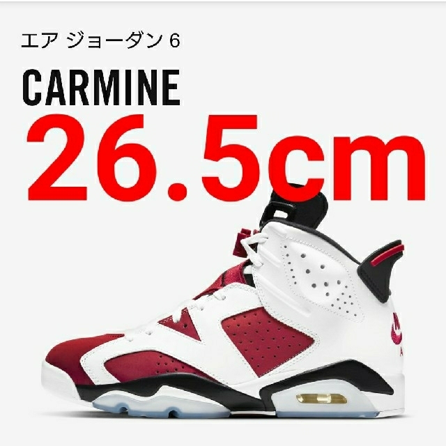 【26.5cm】NIKE AIR JORDAN 6 CARMINE 最安値