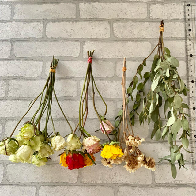 ドライフラワー花材 一輪バラの通販 By あかゆづ S Shop ラクマ ドライフラワー花材 一輪バラの通販 By あかゆづ S Shop ラクマ