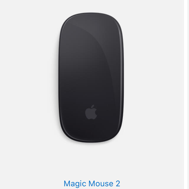 Apple Magic Mouse2スマホ/家電/カメラ