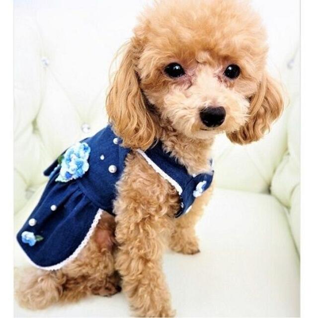 SALE30%off P273 P274 ワンピース トップス ボタニカル柄犬服