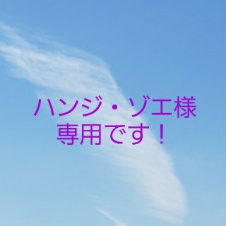 ハンジ・ゾエ様専用ページ☆(その他)