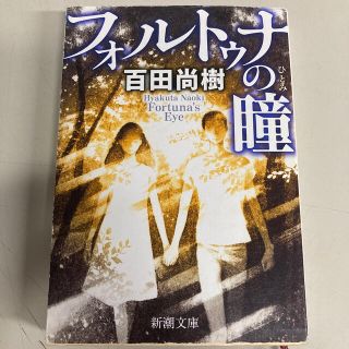 フォルトゥナの瞳(文学/小説)