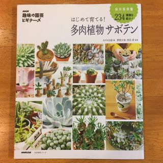 多肉植物サボテン　orange様　専用です❣️(趣味/スポーツ/実用)