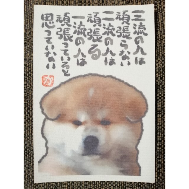 名言絵手紙 No 21 秋田犬の通販 By ｋａｚｕ S Shop ラクマ
