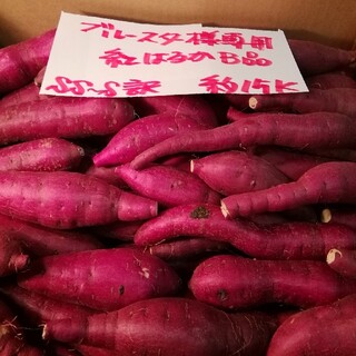 ブルースター様専用　超お得!!訳☆オーダー☆甘い貯蔵品紅はるかB品約15Kです。(野菜)