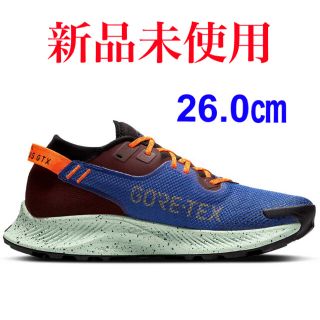 ナイキ(NIKE)のNIKE ナイキ ペガサス トレイル 2 GORE-TEX 26.0㎝(スニーカー)