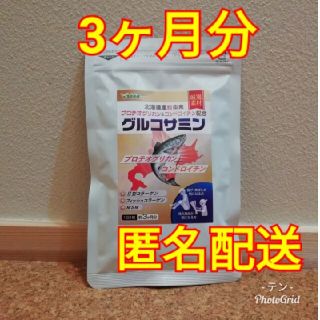 コンドロイチン配合グルコサミン＆プロテオグリカン+Ⅱ型コラーゲン+MSM 3ヵ月(その他)