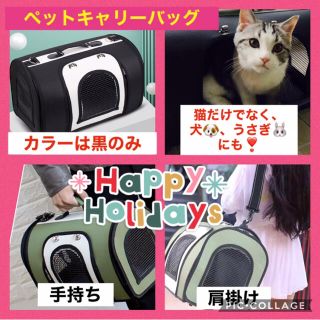 ペット快適2wayキャリーバック【洗濯可能なマット付き】(猫)