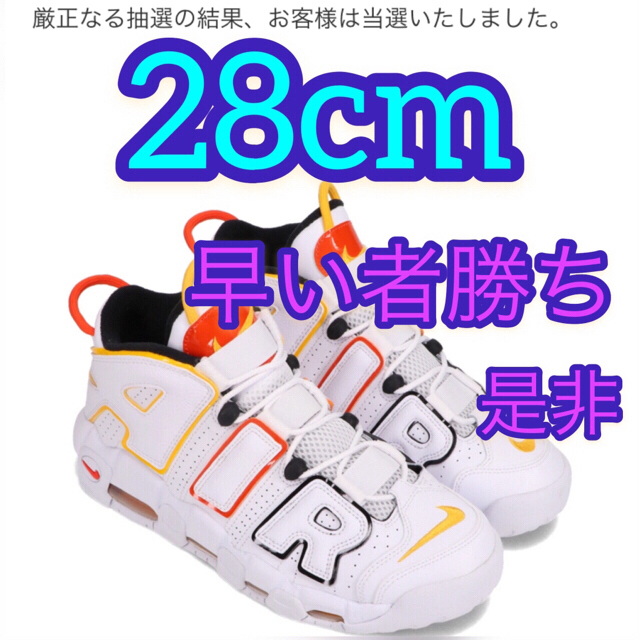 NIKE  レイガンズ　モアテン　28cm