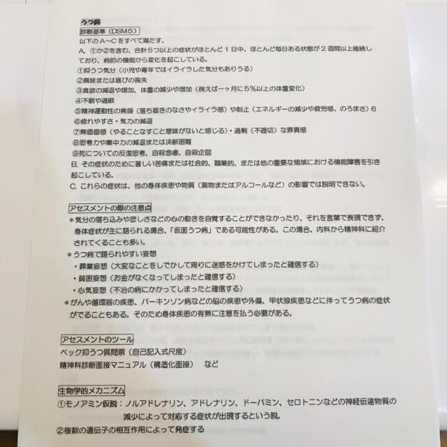 精神疾患・発達障害まとめプリント 臨床心理士試験 公認心理師試験 心理系大学院 エンタメ/ホビーの本(語学/参考書)の商品写真