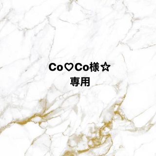 専用ページ(その他)