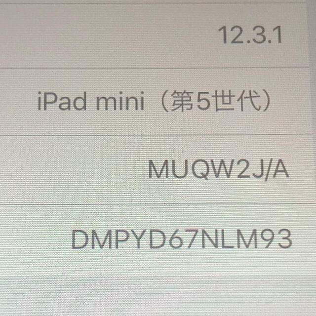 iPad mini5   64GB  グレー　本体　訳あり