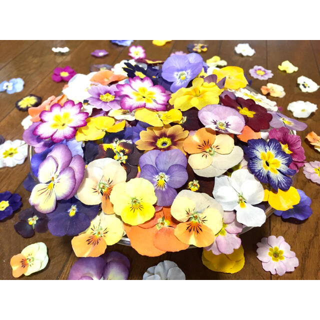 銀の紫陽花が作った彩りビオラ➕ふんわり可愛い春色のプリムラてす ハンドメイドのフラワー/ガーデン(ドライフラワー)の商品写真