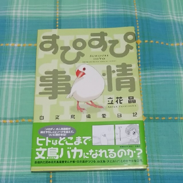 すぴすぴ事情 白文鳥偏愛日記の通販 By メルちゃんの靴 ラクマ すぴすぴ事情 白文鳥偏愛日記の通販 By メルちゃんの靴 ラクマ