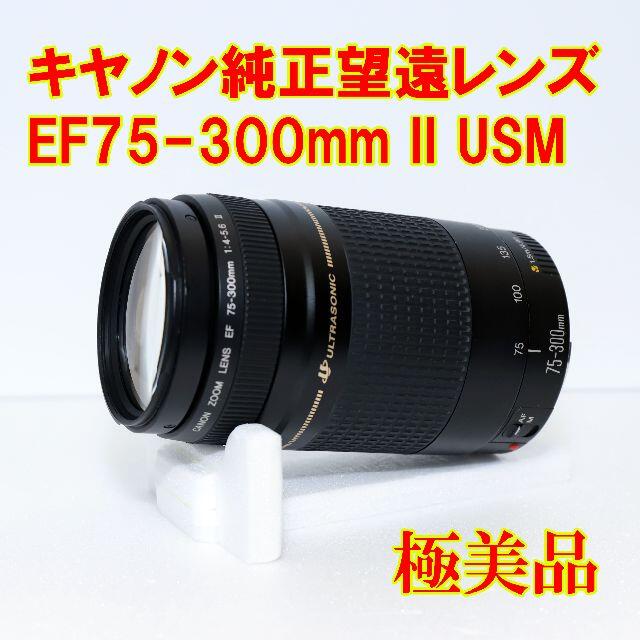 望遠レンズ】Canon EF75-300mm F4-5.6 II USM - レンズ(ズーム)