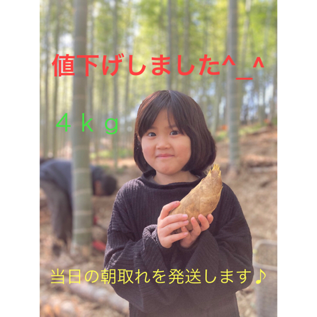 名入れ無料】 早掘り筍 4kg 野菜 - traama.com.br