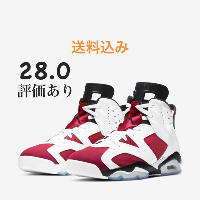 国内正規品 AIR JORDAN 6 CARMINE 2021 28.0