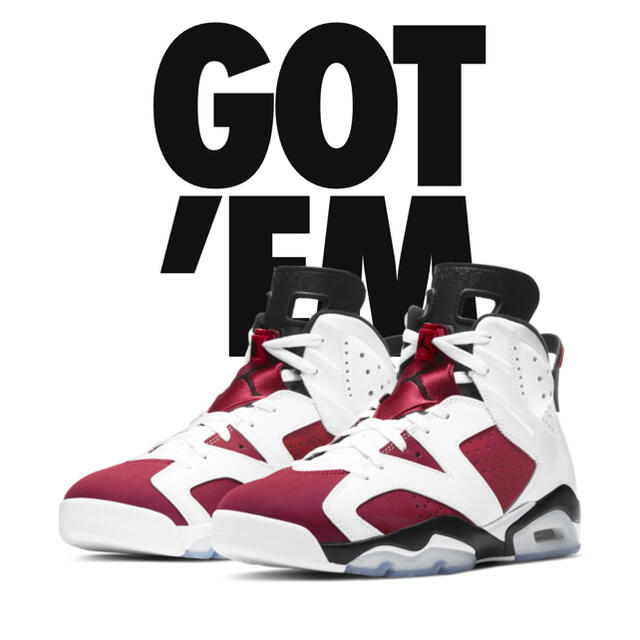 Nike Air Jordan6 carmine カーマイン AJ6