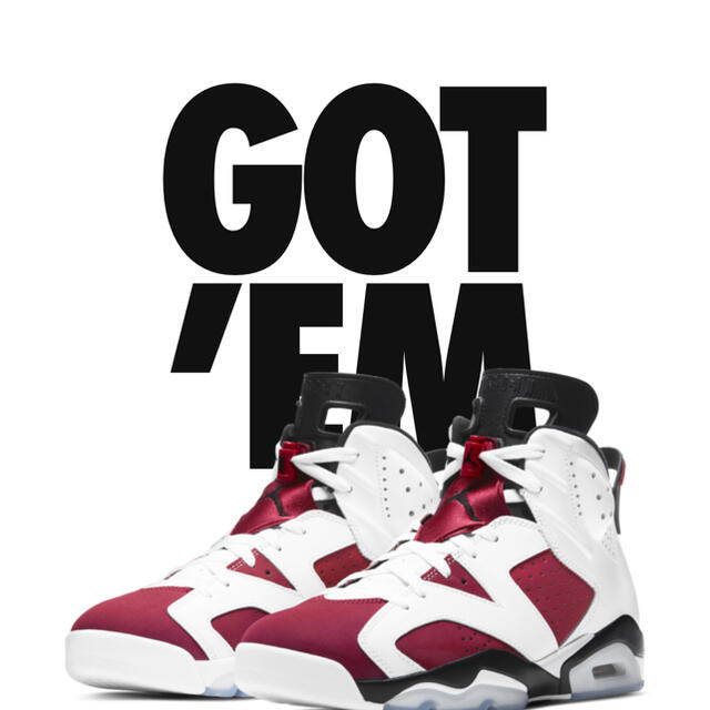 NIKE エアジョーダン6 carmine  26.0センチ