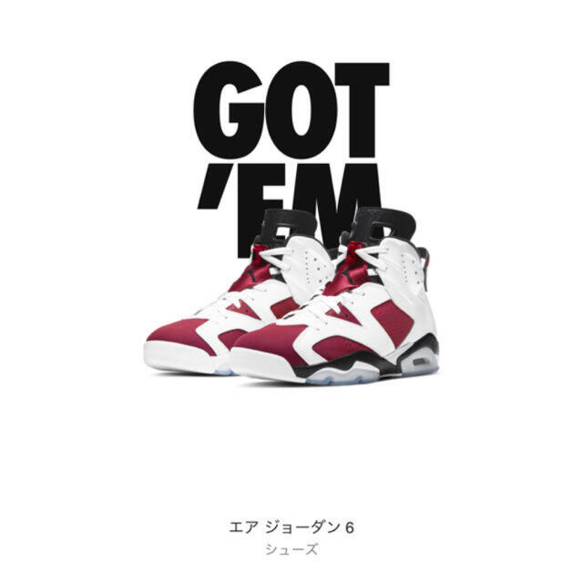 275cm状態Jordan 6 Retro Carmine