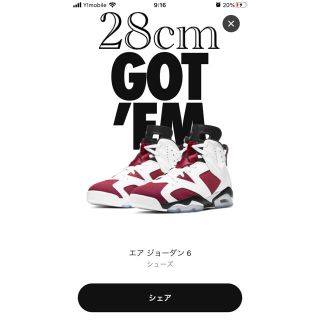 ナイキ(NIKE)のNike スニーカー　エアジョーダン6 Carmine 28cm(スニーカー)