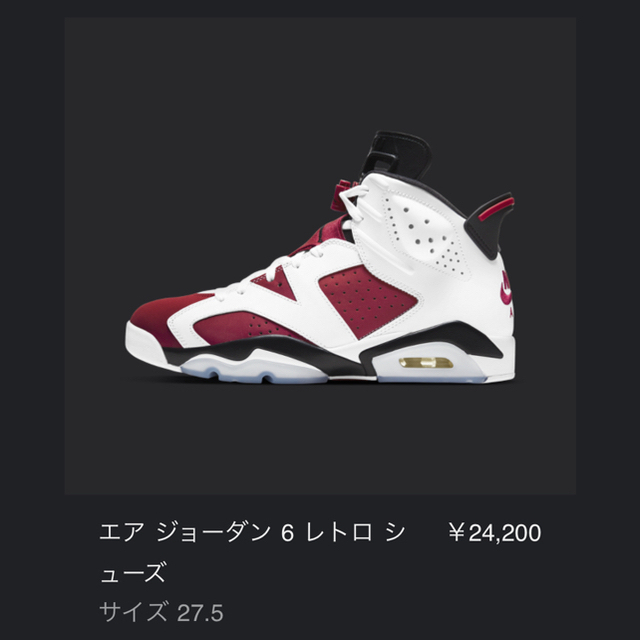 NIKE AIR JORDAN 6 Retro Carmine  カーマイン