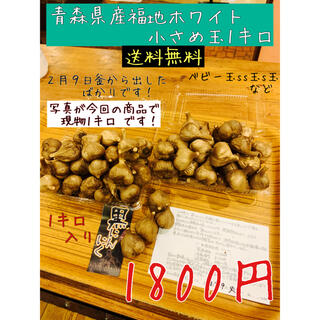 黒にんにく　青森県産福地ホワイト小さめ玉1キロ  黒ニンニク(野菜)