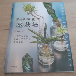 多肉植物の水栽培 土を使わずに水だけで育てる多肉植物(趣味/スポーツ/実用)