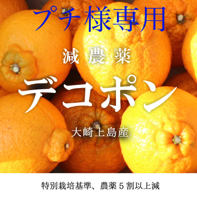 【プチ様専用】減農薬 デコポン 4キロノーワックス　広島県産 大崎上島  食品/飲料/酒の食品(フルーツ)の商品写真