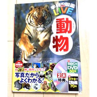 【おだんごぱん様専用】学研　図鑑LIVE 動物(絵本/児童書)