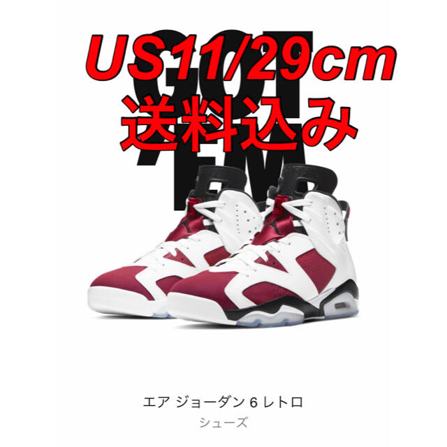 スニーカーNIKE AIR JORDAN 6 "CARMINE" US11/29cm