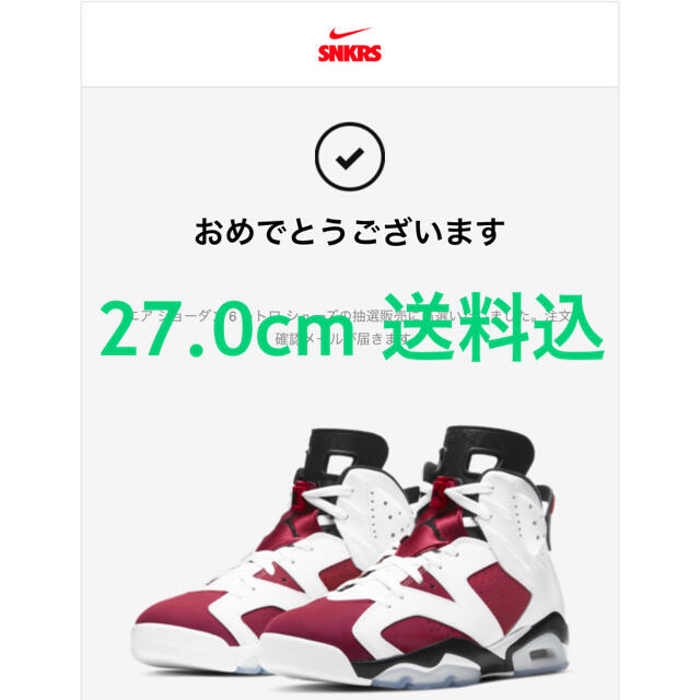 Nike Air Jordan 6 Carmine 送料込 ジョーダン