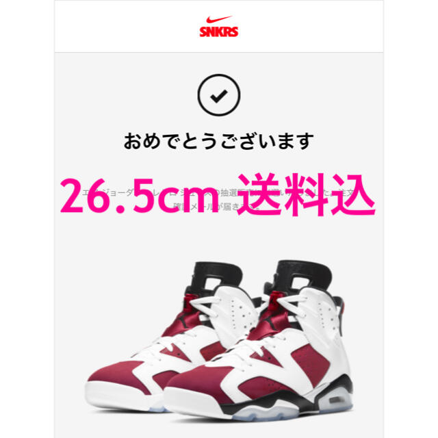 Nike Air Jordan 6 Carmine 送料込