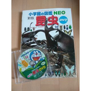 ショウガクカン(小学館)の小学館の図鑑NEO新版【昆虫】DVD付き(絵本/児童書)