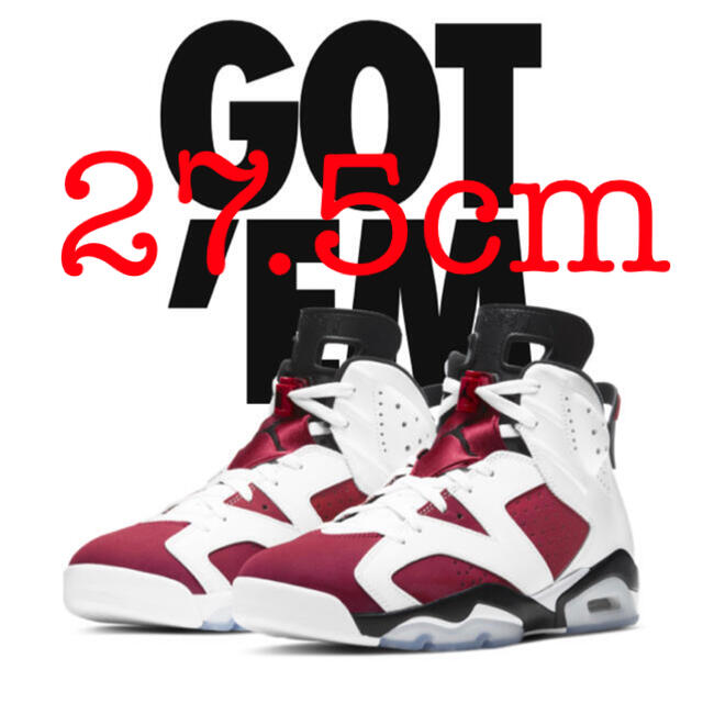 NIKE Air Jordan 6 Carmime 27.5 AJ6 カーマイン