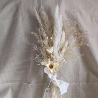パンパスグラスのオフホワイト  スリムスワッグ　アネモネ　47cm(ドライフラワー)